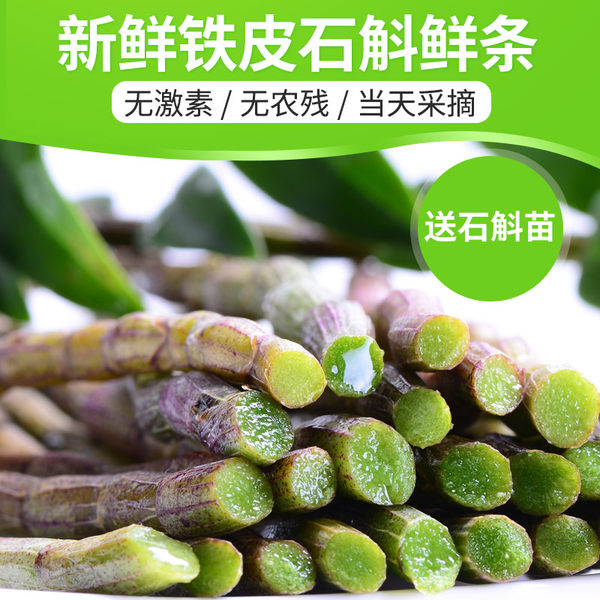 沈家村 乐清铁皮石斛鲜条 50g 优惠券折后￥5.8包邮（￥20.8-15）