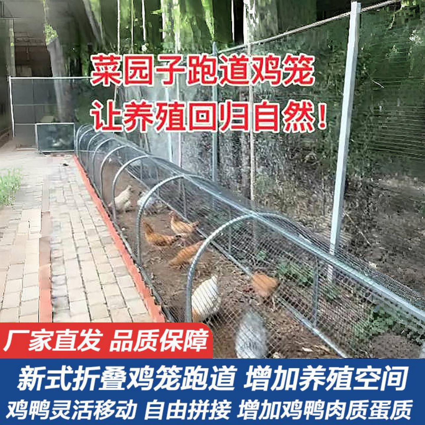 跑道鸡笼养鸡笼萌宠简易散养鸡子棚大户外庭院农家家禽养殖可移动