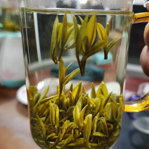 霍山黄芽2026新茶明前黄芽精品黄茶头采乌米尖核心产区高山茶250g