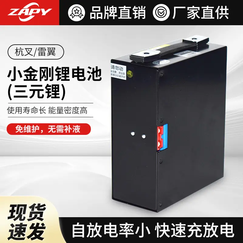 叉车电瓶CBD15-WS雷翼电动小金刚托盘搬运车48V10AH15A锂电池配件