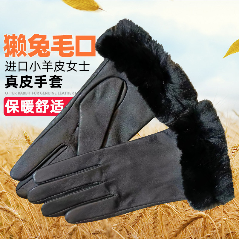 WARMEN秋冬新款女士真皮手套进口羊皮真獭兔毛口薄绒时尚手套L209