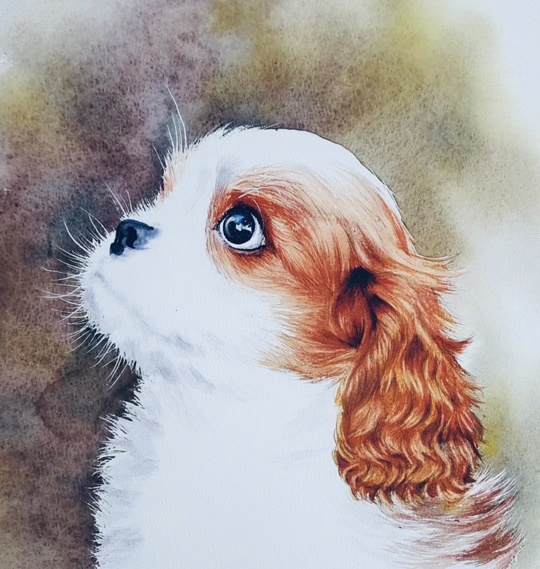 水彩头像手绘素描画像定制代画肖头像定制/手绘真人漫