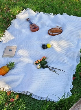 Outdoor picnic mat linen tablecloth 户外野餐桌布