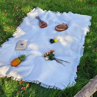 tablecloth Outdoor linen mat 户外野餐桌布 picnic