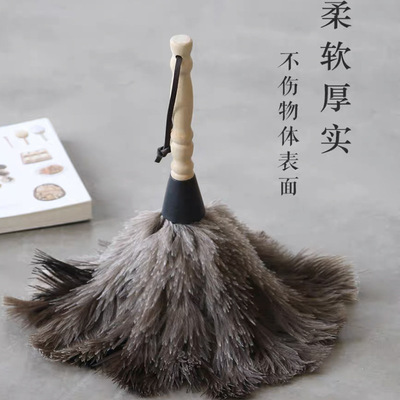 Ostrichfeatherscannotbebrushed