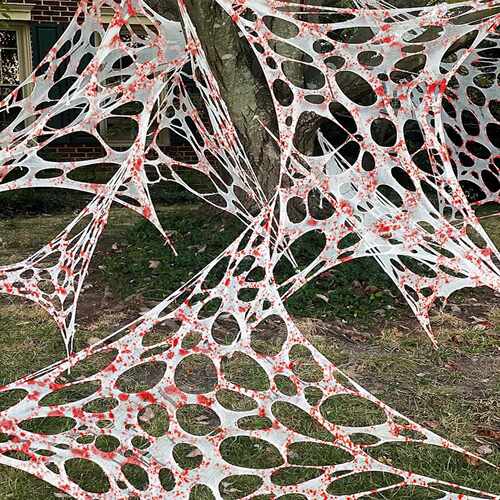 Halloweenspiderwebtattered