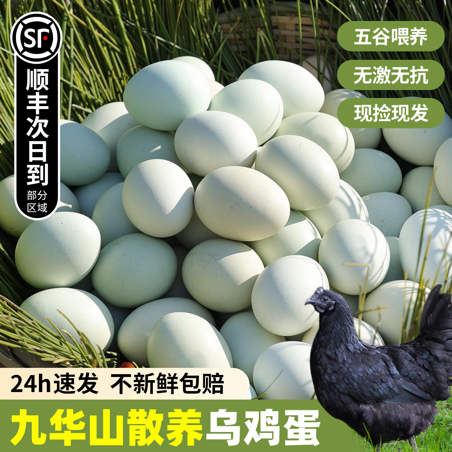 乌鸡蛋正宗九华山山林散养绿壳土鸡蛋谷物鲜鸡蛋新鲜批发整箱鸡蛋
