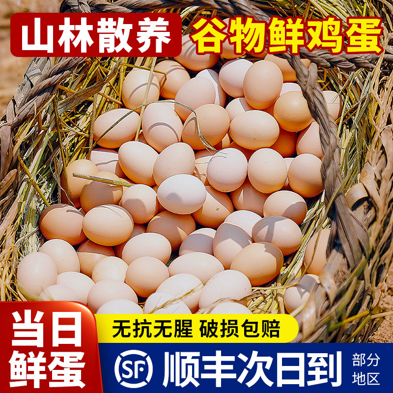 山林散养谷物鲜鸡蛋无抗无激素笨草鸡蛋新鲜批发整箱真正的土鸡蛋,水产肉类/新鲜蔬果/熟食,鸡蛋,淘宝优惠券,粉丝福利购,淘宝优惠卷