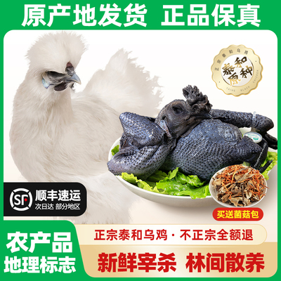 正宗原种乌骨鸡农家散养