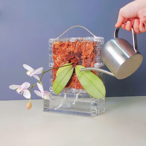 [全透明小号正方形板植框]自吸水
