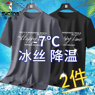 啄木鸟新款印花网眼冰丝短袖t恤男士夏季凉感透气速干运动排汗衫