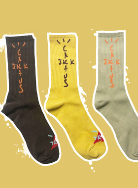 SS2L现货Travis Scott TS周边仙人掌大地色棉质运动中筒袜子男女