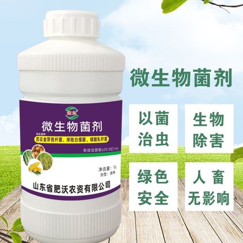 迎东白僵菌苏云金芽孢微生物