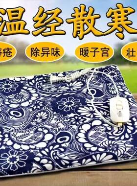 电加热艾草坐垫办公室养生蕲艾叶艾灸艾垫暖宫寒家用餐厅艾绒椅垫