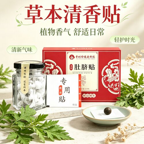 正品温炙肚脐专用贴肚脐贴南怀瑾艾脐贴老姜花椒艾灸贴家用艾草贴