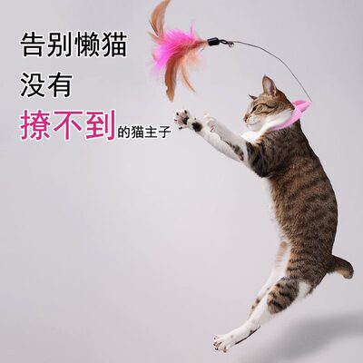 【自嗨解闷项圈逗猫棒】