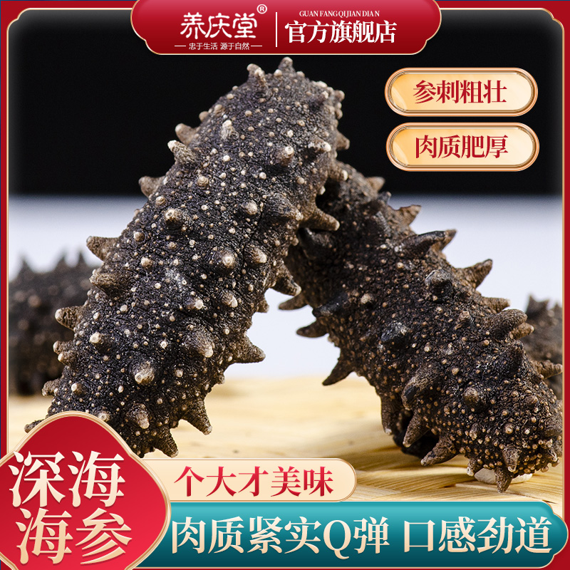 大连海参淡干海参干货500g鲜活海生非即食海渗礼盒单个装刺参海渗