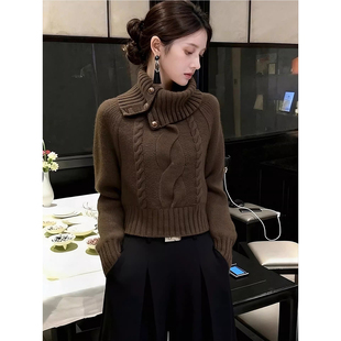 超好看独特漂亮韩系咖色针织毛衣冬装短款高级感绝美轻奢内搭上衣