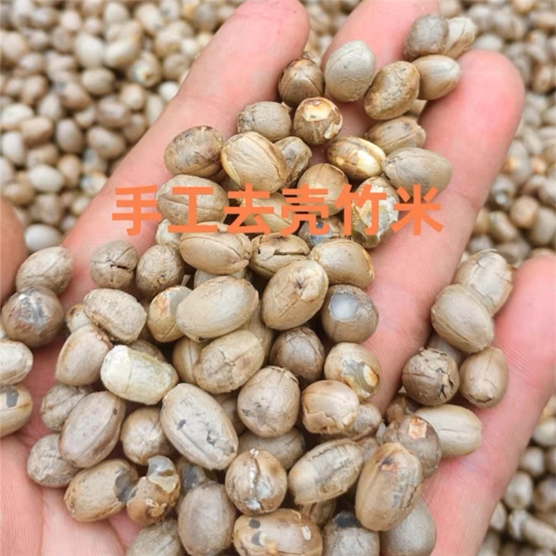 云南野生竹子米250g/500g 农家山货竹米煲汤煮粥
