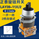 CHNT 2位选择开关 正泰按钮 11X 正品 二档旋钮 LAY39 1开1闭