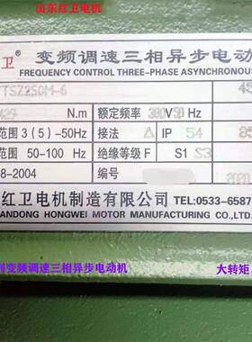 山东源头厂家直供YTSZ250M-6/45W起重变频调速三相异步电动机