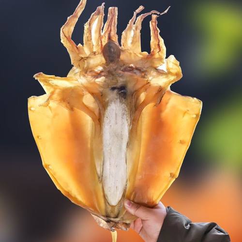 大号墨鱼干煲汤海鲜干货多规格野生目鱼乌贼干温州特产送礼干货