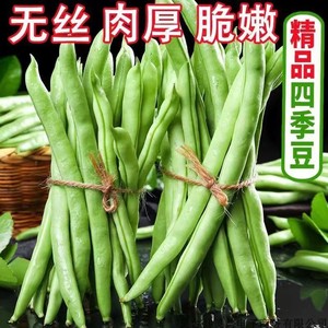 云南现摘新鲜四季豇豆角王无筋当应季豆类蔬菜农家菜地直发净3/5