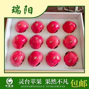 甲果缘甘肃平凉灵台瑞阳苹果薄皮水果脆甜高端礼盒送领导亲戚好友