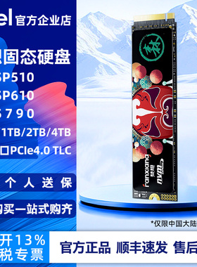 梵想S790 1TB 2TB 4TB SSD固态硬盘 M.2接口NVMe PCIe4.0 TLC颗粒