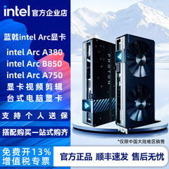 蓝戟/intel Arc A380/B580/A750显卡视频剪辑台式电脑显卡
