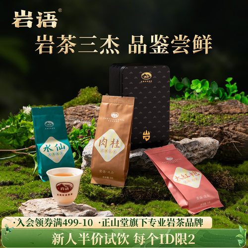 大红袍肉桂水仙武夷山茶叶试喝