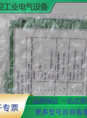 Honigmann TS 621 测量放大器实物图实物拍摄议【议价】