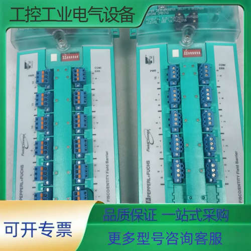 PEPPERL+FUCHS倍加福模块 R4D0-FB-IA1【议价】