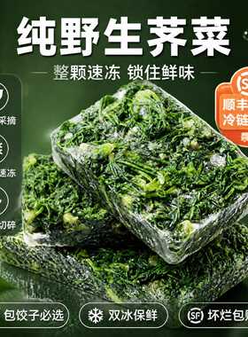 秦岭速冻冷冻野生荠菜陕西
