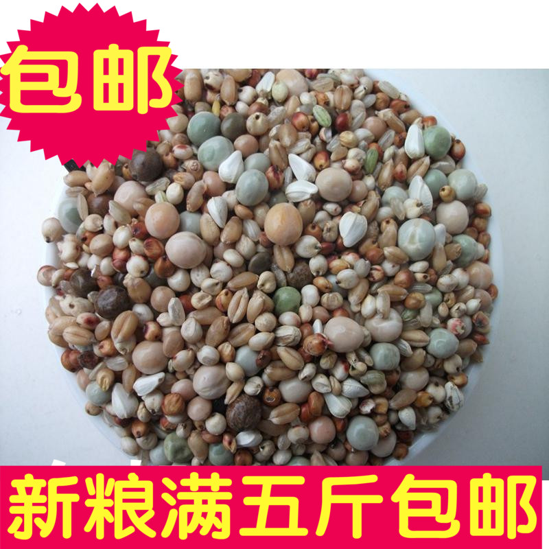 杂粮鸽粮赛鸽信鸽观赏鸽幼鸽饲料