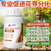 花芽素促花芽分化素催花剂专用叶面肥农用促授粉果树荔枝柑橘通用