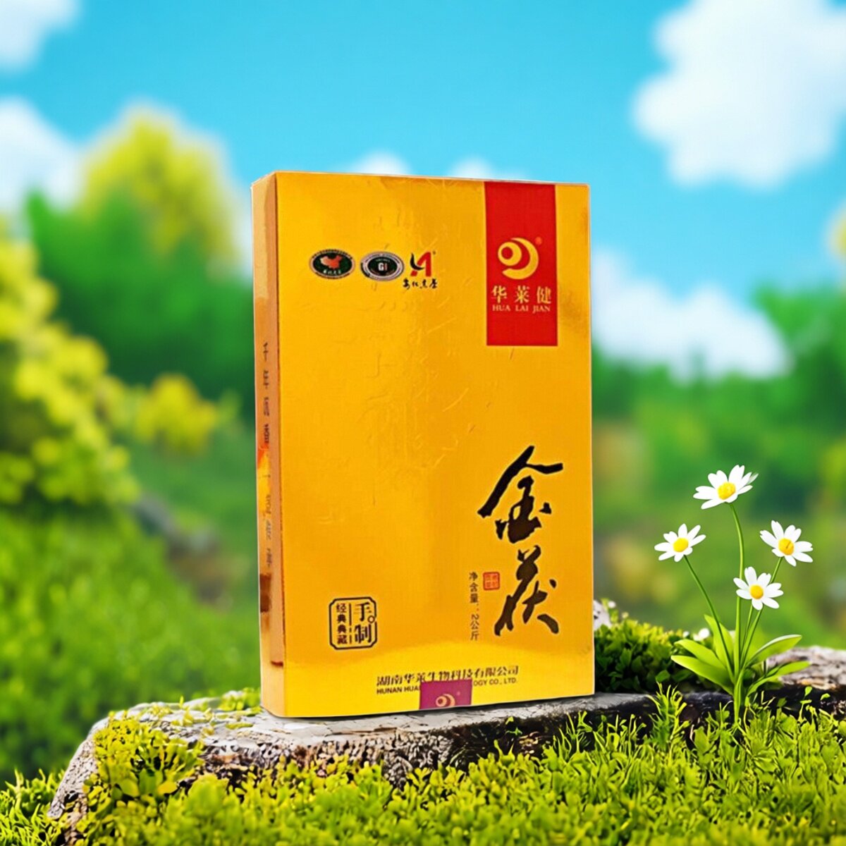 华莱健黑茶金黑茶茯一级公斤金茯安化黑茶