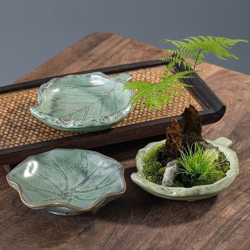 苔藓球专用盆佛手柑托盘复古中式桌面水培专用蕨类水培器皿