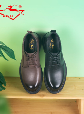 万里新款商务正装真皮男鞋百搭系带休闲鞋舒适低跟鞋HGT1109