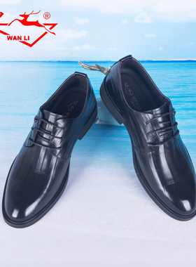 万里新款轻奢商务休闲皮鞋系带四季穿单鞋真皮粗跟男鞋HET1058