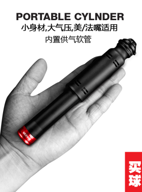 WILD MAN便携迷你式山地车自行车单车篮球小型美法嘴打气筒充气筒