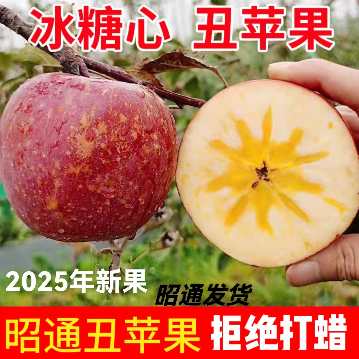云南昭通丑苹果冰糖心2025新鲜水果现摘10斤包邮孕妇当季整箱脆甜,水产肉类/新鲜蔬果/熟食,苹果,淘宝优惠券,粉丝福利购,淘宝优惠卷