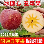 孕妇当季 云南昭通丑苹果冰糖心2025新鲜水果现摘10斤 包邮 整箱脆甜