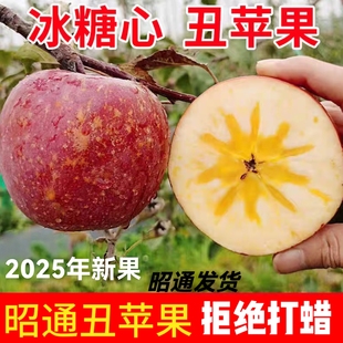 整箱脆甜 孕妇当季 云南昭通丑苹果冰糖心2025新鲜水果现摘10斤 包邮