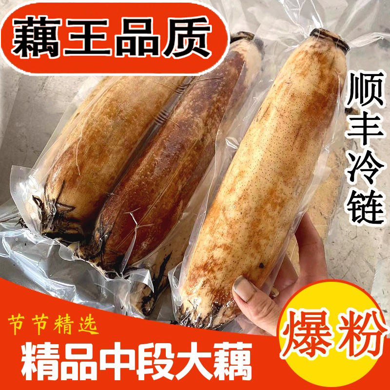 【真空包装】洪湖藕王现挖现发