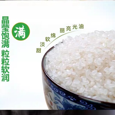 2025年新米南粳9108大米 江苏兴化大米 苏北大米25kg50斤软糯香米