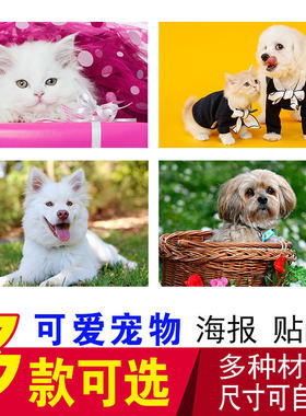 可爱动物图片宠物美容名犬海报小狗狗海报kt板画宠物店海报