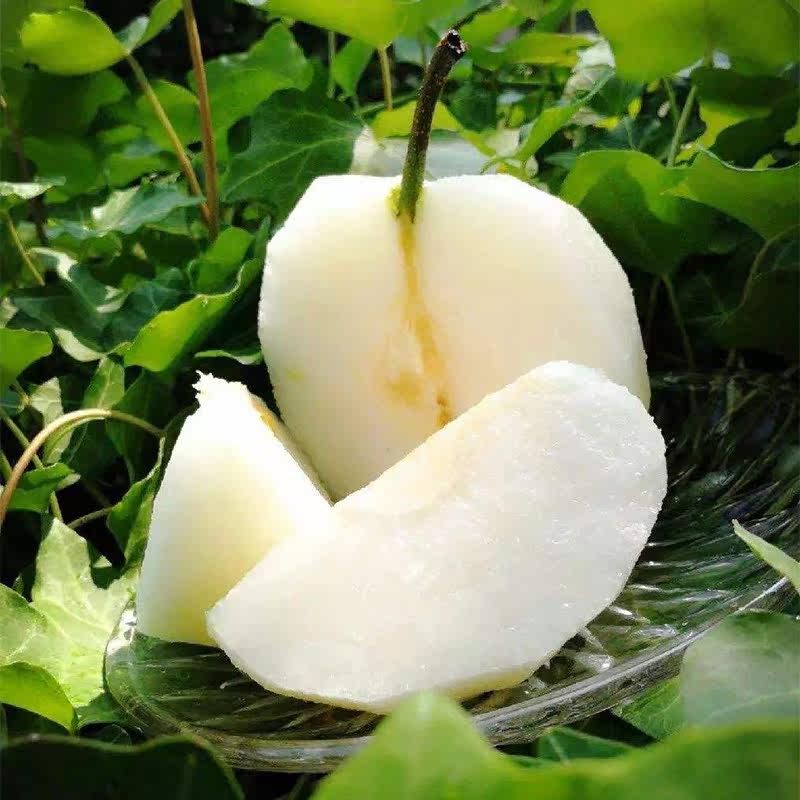 农家自榨菜籽油