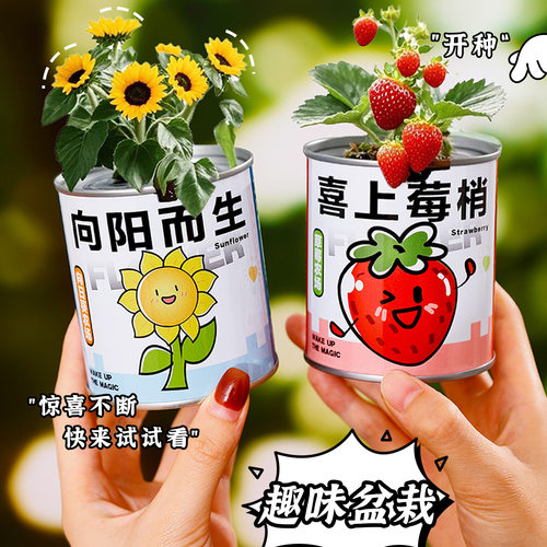 创意植物小盆栽易拉罐种植盲盒