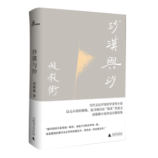 沙漠与沙  赵毅衡/著 小说集 中国 当代 广西师范大学出版社